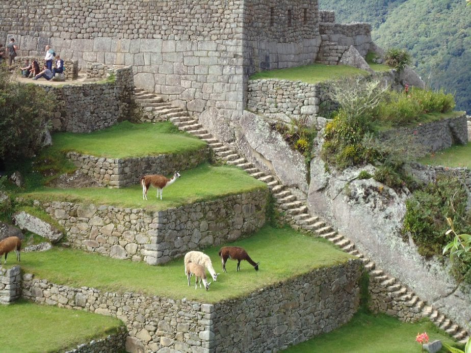 Machu Picchu - Peru