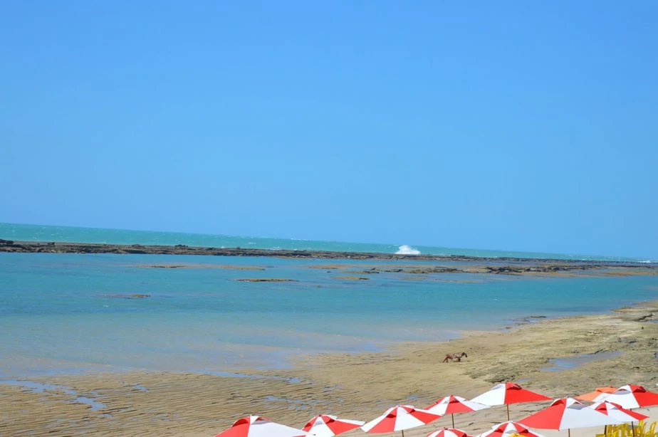Passeio para a Praia do Gunga