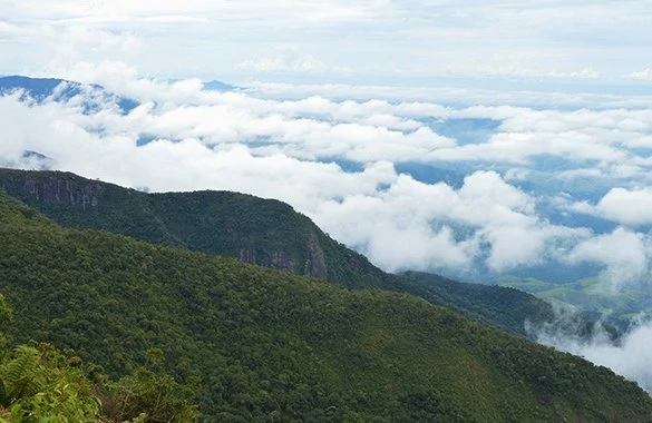 Trilha da Pedra da Onça