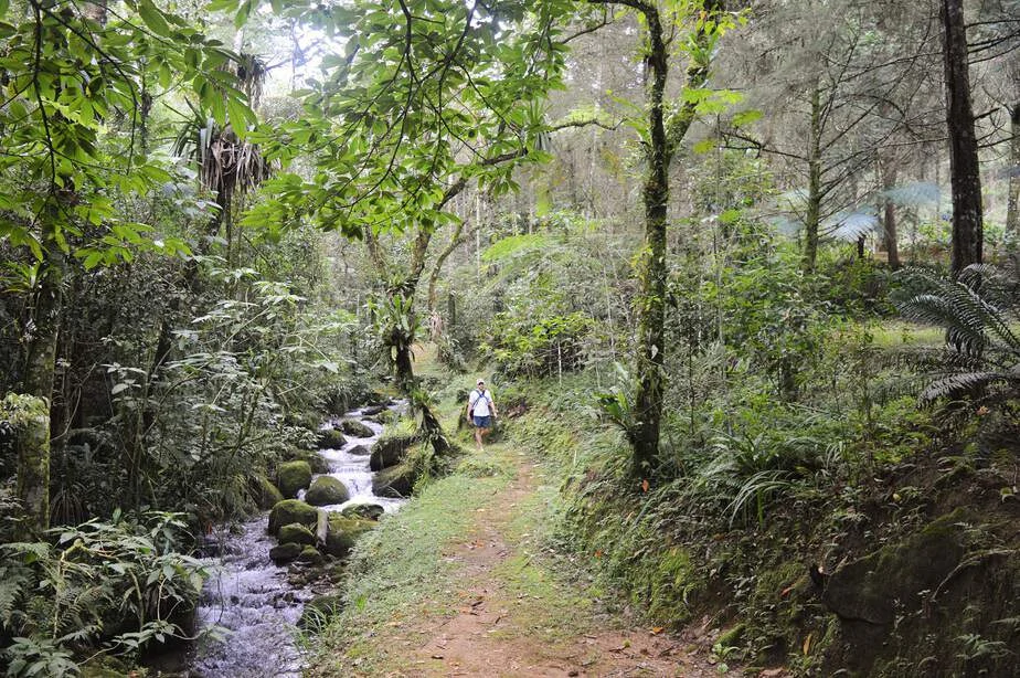 O que fazer em São Francisco Xavier