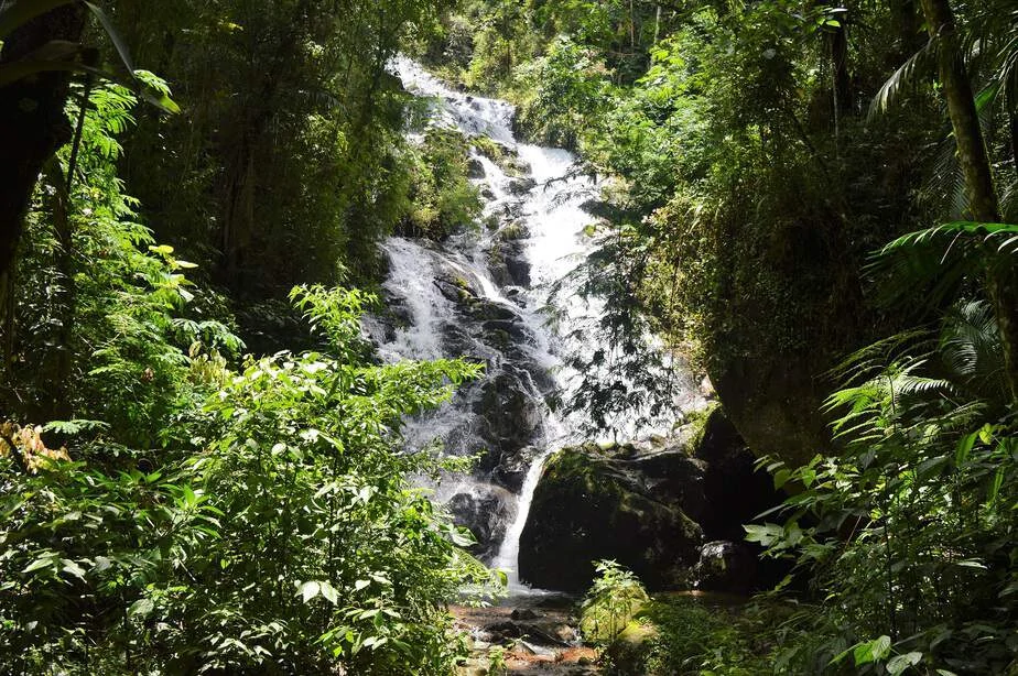 O que fazer em São Francisco Xavier