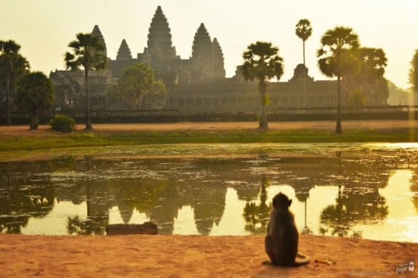 O que fazer em Angkor Wat
