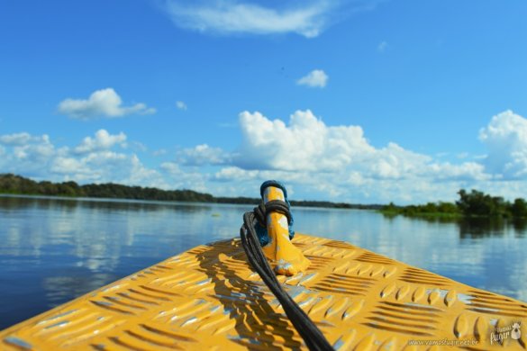 conhecer Manaus e a Floresta Amazônica