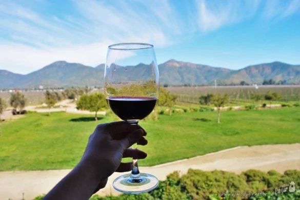 Rota do Vinho pelo Vale Casablanca