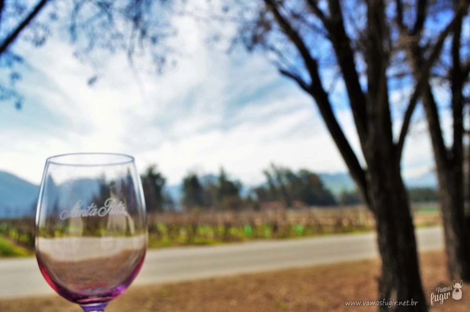tour pela vinícola Santa Rita