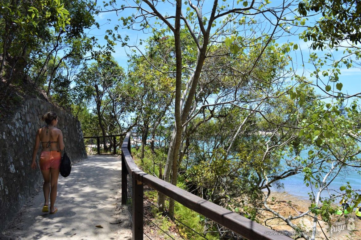 O que fazer em Gold Coast