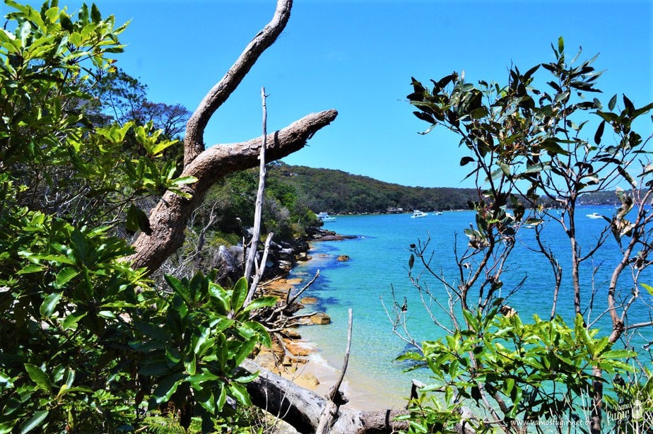 The Spit to Manly