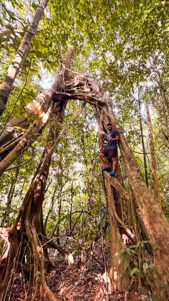 trilha khao sok