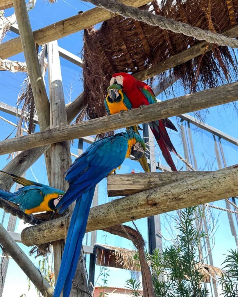 o que fazer em Aparecida parque dos pescadores