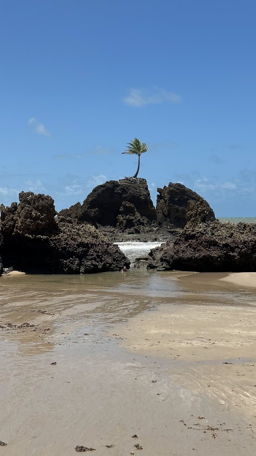 Praia de Tambaba
