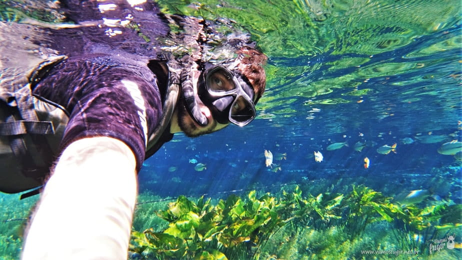 viajar no carnaval bonito