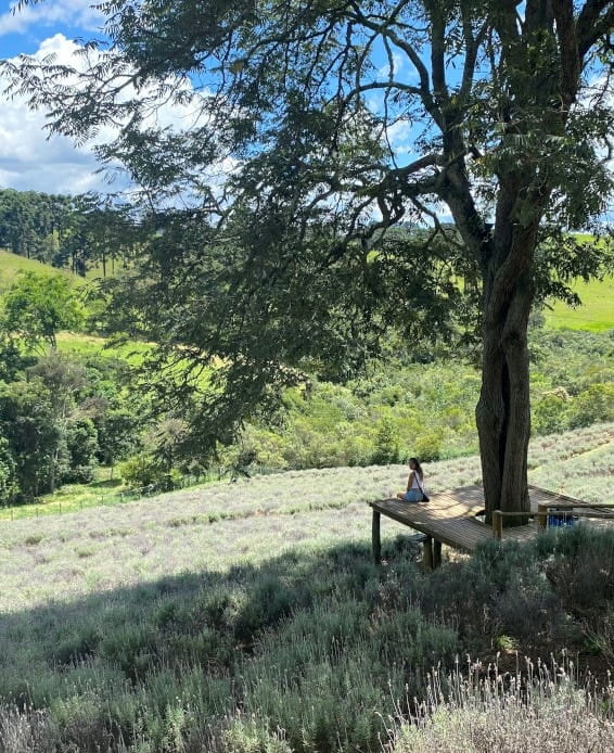 viajar no carnaval cunha